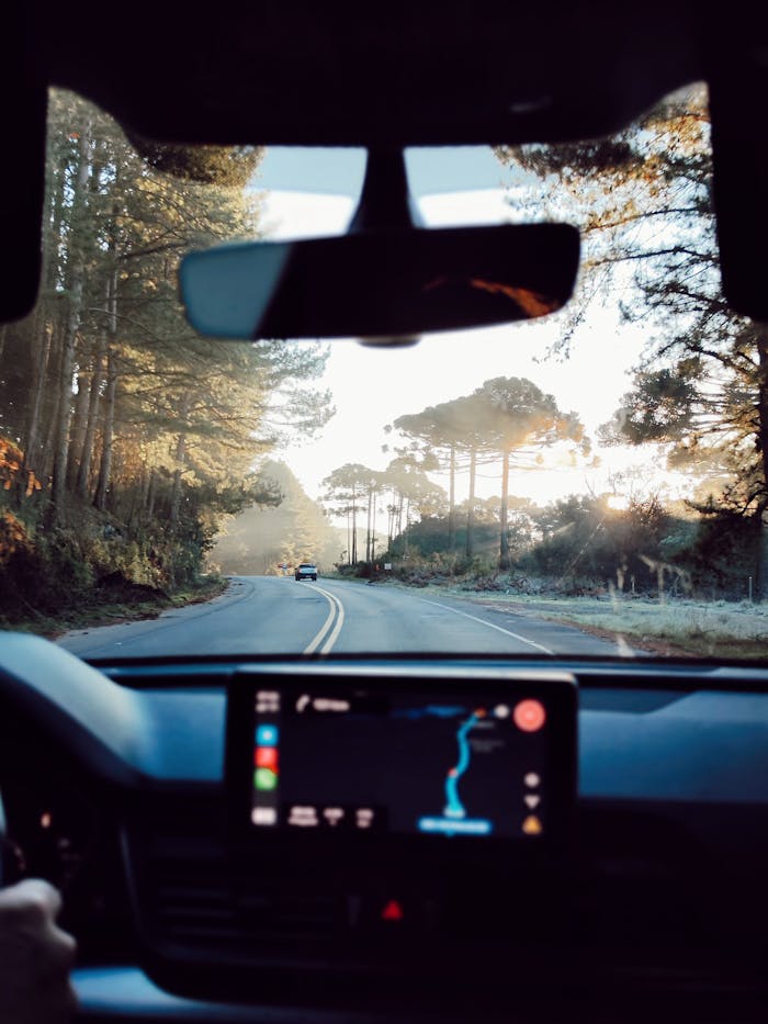 Mastering the First Impression: Your intriguing post title goes here Experience a serene drive through a forest road at sunset, perfect for nature lovers.